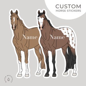 Custom Horse Sticker | Waterproof Vinyl Decal | Personalized Horse Bumper Sticker | Equine Sticker | Horse Lover Gift | Kiss Cut Sticker