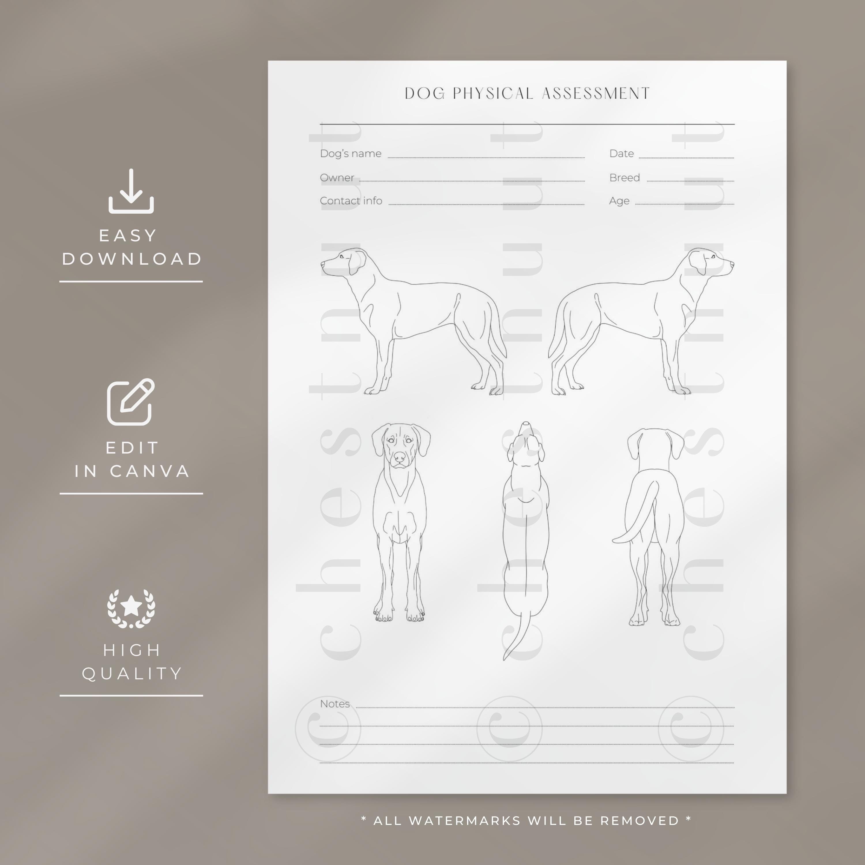 Dog Physical Assessment Form | Dog Bodywork | Dog Form | Dog Anatomy ...