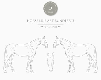 Horse Line Art Bundle v.3 | Standing Full Body Horse illustration | Equine Art | Horse Anatomy Silhouette Drawing | Animal Body Outline |