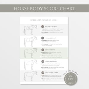 Horse Body Condition Score Chart | Equine Body Scoring Guide | Printable Horse Weight Tracker | Horse Care & Health Monitoring | Equine Form
