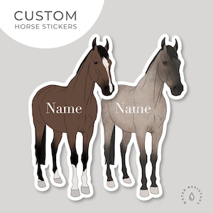 Sticker cheval personnalisé | Sticker cheval | Sticker cheval personnalisé | Sticker équestre | Cadeau pour amoureux des chevaux | autocollant coupé |