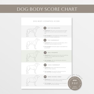 Scoregrafiek lichaamsconditie hond | Gids voor het scoren van lichaamsdelen bij honden | Afdrukbare gewichtsmeter voor honden | Hondenverzorging en gezondheidsmonitoring | Hondenvorm |