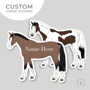 Personalisierter Pferdeaufkleber | Wasserfester Vinyl-Aufkleber | Personalisierter Pferdeaufkleber | Pferd Sticker | Geschenk für Pferdeliebhaber | Kiss Cut Aufkleber