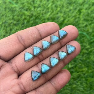 Edelstein Natürliche Labradorit Trillions Form Cabochon Menge 10 Stück Lot 10 MM Größe für Schmuckherstellung Anhänger Ring Cabochon mit flacher Rückseite