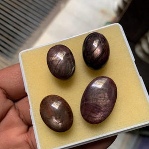 May include: Four oval-shaped, cabochon-cut star rubies with a deep reddish-brown hue and visible asterism. The gemstones are arranged on a yellow foam insert inside a small, square white plastic display box, showcasing their smooth, polished surfaces.