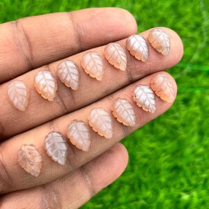 Puede incluir: Una colección de 10 cabujones en forma de hoja de piedra preciosa rosa y blanca. Los cabujones están tallados en una piedra translúcida con un acabado brillante.