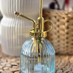 Fine Mist Plant Mister: Decorative Glass Spray Bottle, 200ml - Blue & Green