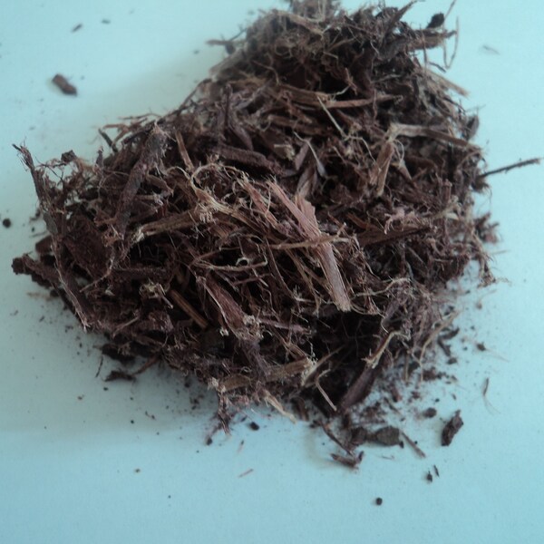 Natural Purple Dye root bark 100 g M.H Quality