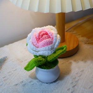 crochet pink rose in pot