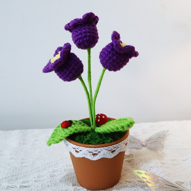 Purple knitted bell orchid flower pots. The pots are plastic and each has three rhizomes with a flower on each one
