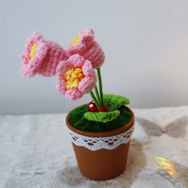 Pink knitted bell orchid flower pots. The pots are plastic and each has three rhizomes with a flower on each one