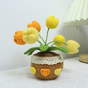 Yellow, Orange Mixed Tulip Pots
