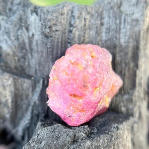 Puede incluir: Una gema de rubí rosa en bruto, con inclusiones naranjas y amarillas, descansa sobre una superficie oscura y texturizada. La forma irregular y el color vibrante del rubí se destacan sobre el fondo contrastante.