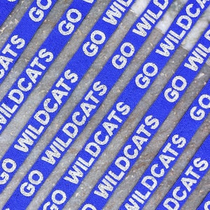 Go Wildcats beaded purse strap, College Purse Straps , Gameday purse straps , Beaded Straps, Stadium bag strap, Kentucky wildcats, Go cats