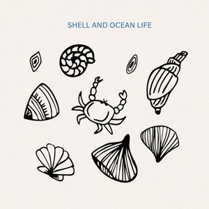 May include: Black and white line drawings of various seashells and a crab. The text "SHELL AND OCEAN LIFE" is at the top of the image.