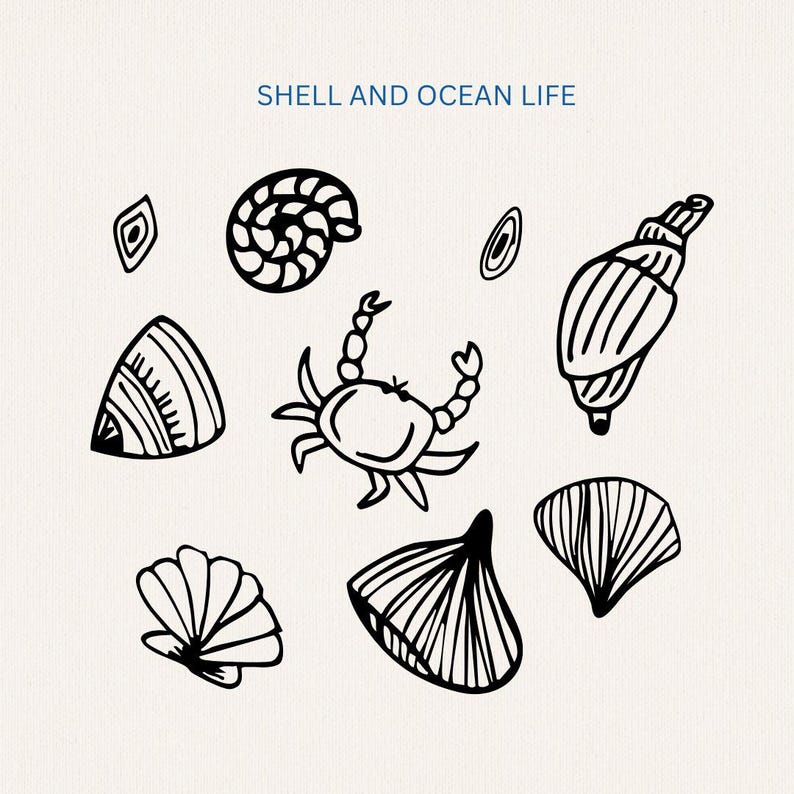 May include: Black and white line drawings of various seashells and a crab. The text "SHELL AND OCEAN LIFE" is at the top of the image.