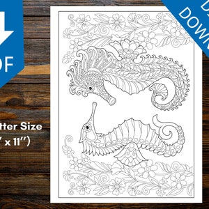 Amazing Animals Coloring Book: Explore the World of Mandala Pattered Animals for Stress Relief and Relaxation
