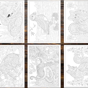 Amazing Animals Coloring Book: Explore the World of Mandala Pattered Animals for Stress Relief and Relaxation