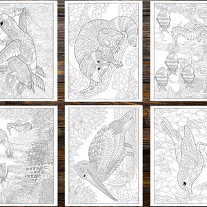 Amazing Animals Coloring Book: Explore the World of Mandala Pattered Animals for Stress Relief and Relaxation