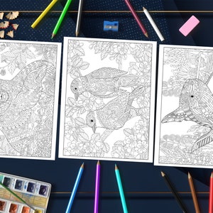 Amazing Animals Coloring Book: Explore the World of Mandala Pattered Animals for Stress Relief and Relaxation