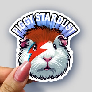 Puede incluir: Una pegatina con un conejillo de indias de dibujos animados con un diseño de rayo rojo y blanco en la cara. El texto "Piggy Stardust" está escrito en una fuente azul y blanca sobre el conejillo de indias.