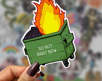 Dumpster Fire Sticker – Sarcastic Laptop Decal, Weatherproof Vinyl