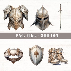 May include: A set of six fantasy-themed armor pieces, including a helmet, chest plate, shield, gauntlets, boots, and a sword. The armor is silver and gold with intricate details. The sword is silver with a gold hilt.