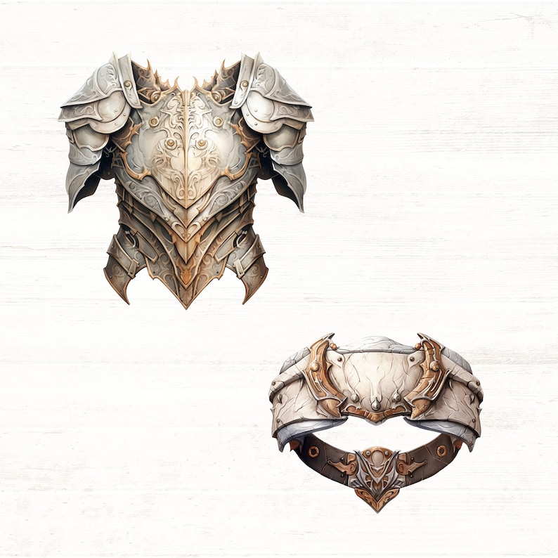 May include: A set of two silver and gold armor pieces. The first piece is a chest plate with intricate details and the second piece is a belt with a decorative buckle.