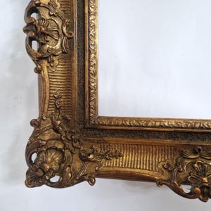 May include: An ornate rectangular picture frame finished in a metallic gold tone. The frame features intricate raised relief carvings, including floral motifs, scrollwork, and a textured inner border with a dark, recessed finish.