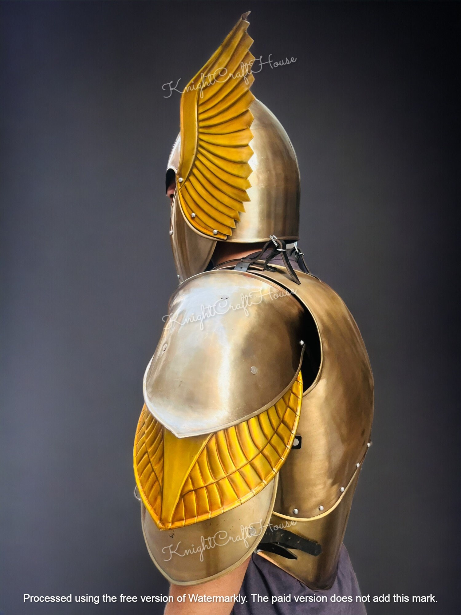 Armure Elfique Médiévale LOTR - Cuirasse En Acier 18 Gauge, Adulte - Reproduction