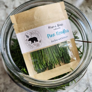 Organic Pine Needle Tea!