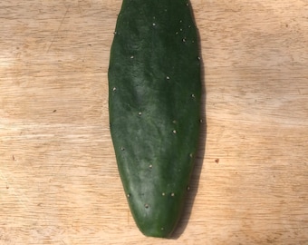 Nopales Fresh Cactus Pad Cuttings-One Pound