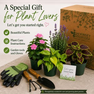 Regalo para amantes de las plantas: Suscripción mensual de plantas de interior y de jardín.