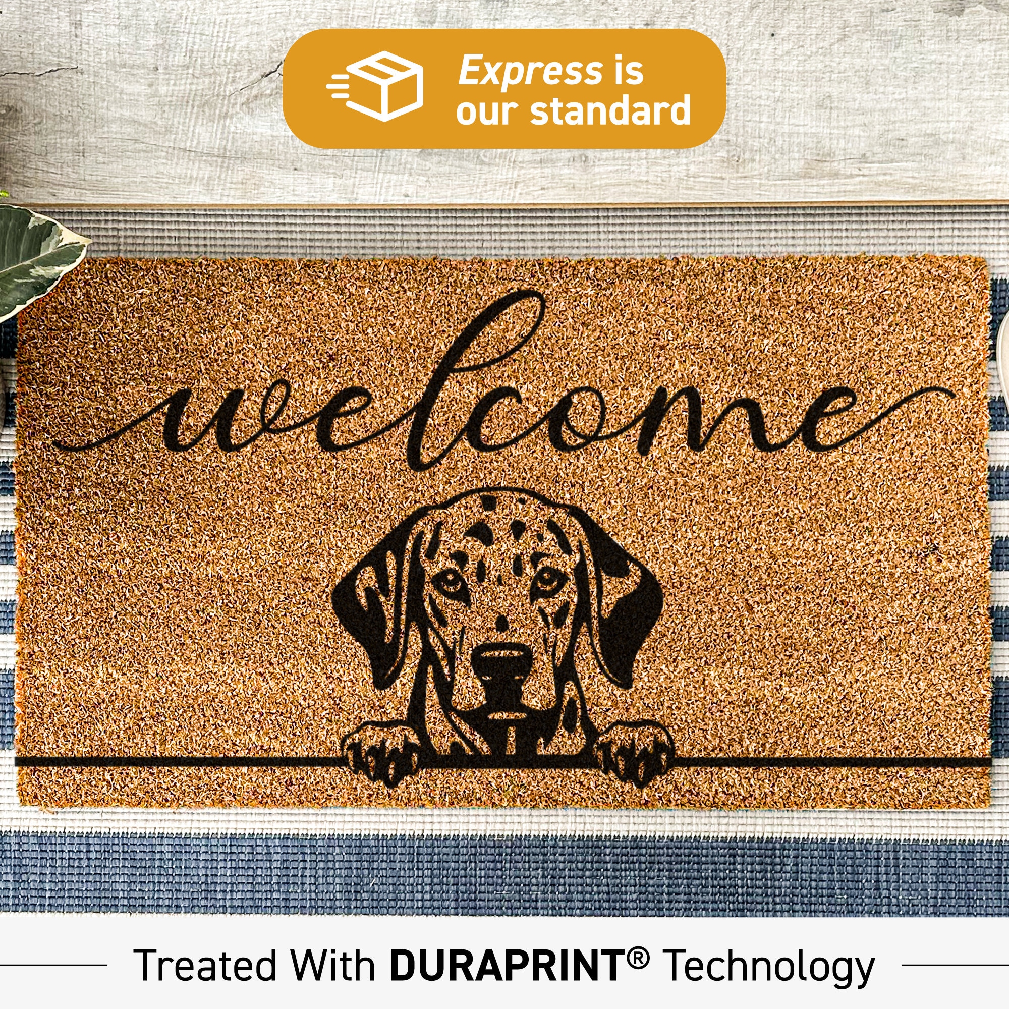 Personalized Dalmatian Dog Doormat – Custom Dog Lover Gift, Funny