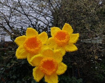 Crochet Daffodils