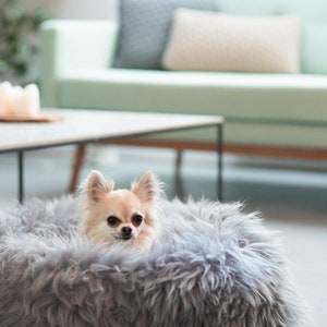 Luxurious Grey Sheepskin Pet Bed – 100% Natural & Genuine - Various sizes