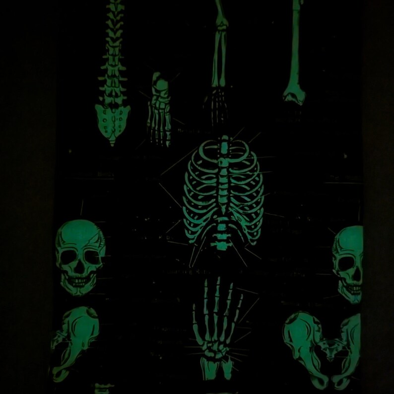 Buchhülle Dark Academia, Skelett-Anatomie-Bücherhülle, Hardcover-Buchschutz, Taschenbuchhülle, Kindle-Hülle, Skelett-Buchhülle Bild 8