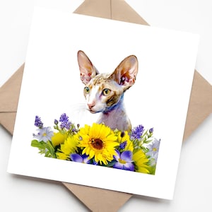Aquarelle Cornish Rex ou chat Devon Rex avec tournesols jaunes - Carte d'anniversaire de chat mignon ou amoureux des animaux de compagnie