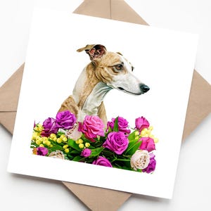 Ritratto di levriero ad acquerello con fiori rosa brillante - Biglietto di auguri fatto a mano per gli amanti dei cani