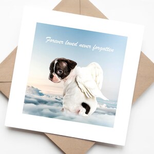 Chien mignon avec des ailes d'ange assis sur des nuages - Carte de perte d'animal de compagnie avec le sentiment « Forever Loved, Never Forgotten, Boston Terrier