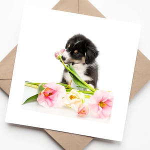 Chiot berger australien mangeant des fleurs roses - Carte de voeux florale vierge faite main pour les amoureux des chiens