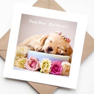 Slapende gouden labradorpuppy op pastelkleurige cake omringd door bloemen – grappige verjaardagskaart met sentiment 'Feest hard, rust harder