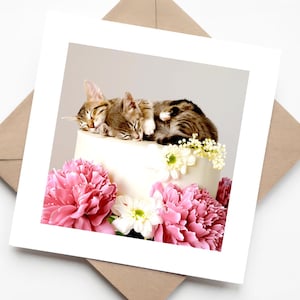 Twee gestreepte gestreepte katten slapen op een witte taart met roze en witte bloemen - Cute Cat bruiloft- of jubileumkaart