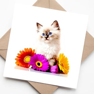 Chaton ragdoll avec fleurs gerbera colorées - Carte de voeux faite main pour les amoureux des chats
