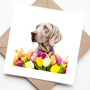 Carte de voeux faite main d'art aquarelle de chien de Braque de Weimar avec des tulipes multicolores - parfaite pour les amoureux des chiens