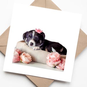 Cachorro de border collie en blanco y negro con flores rosas: tarjeta de felicitación hecha a mano para amantes de los perros