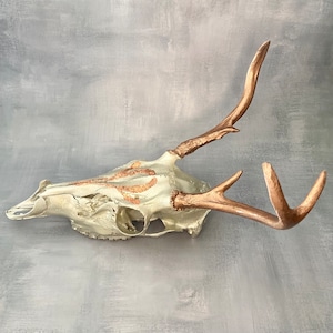 Painted Deer Skull
