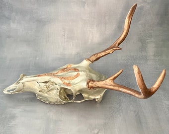 Painted Deer Skull