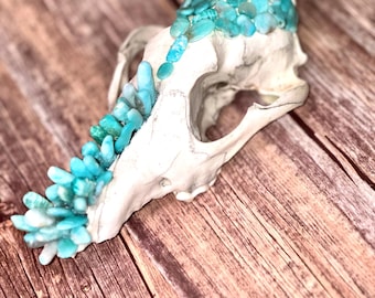 Turquoise Coyote Skull