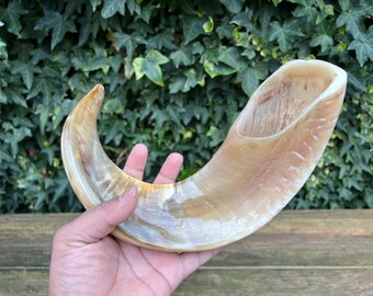 Shofar en corne de bélier casher - Cadeau judaïque poli pour Rosh Hashanah